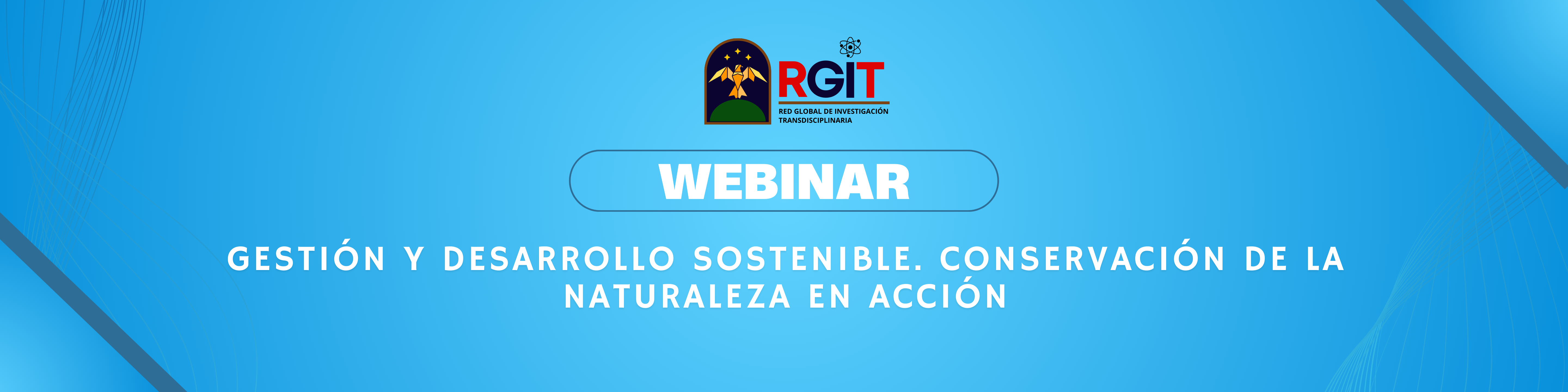 WEBINAR: