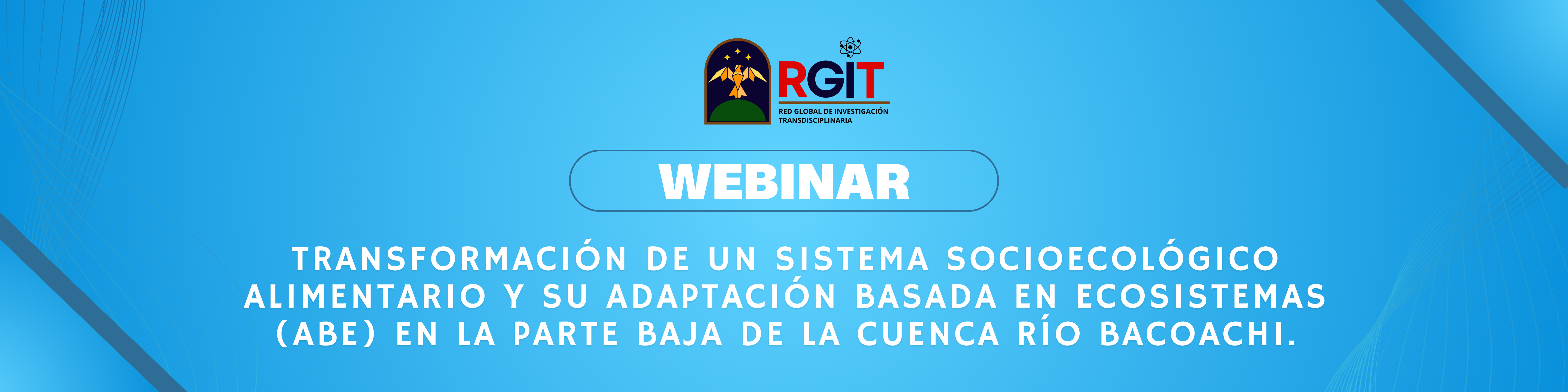 WEBINAR: