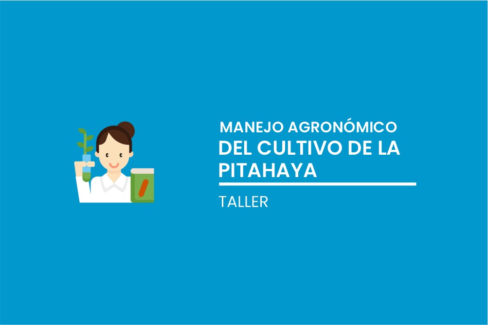 TALLER: