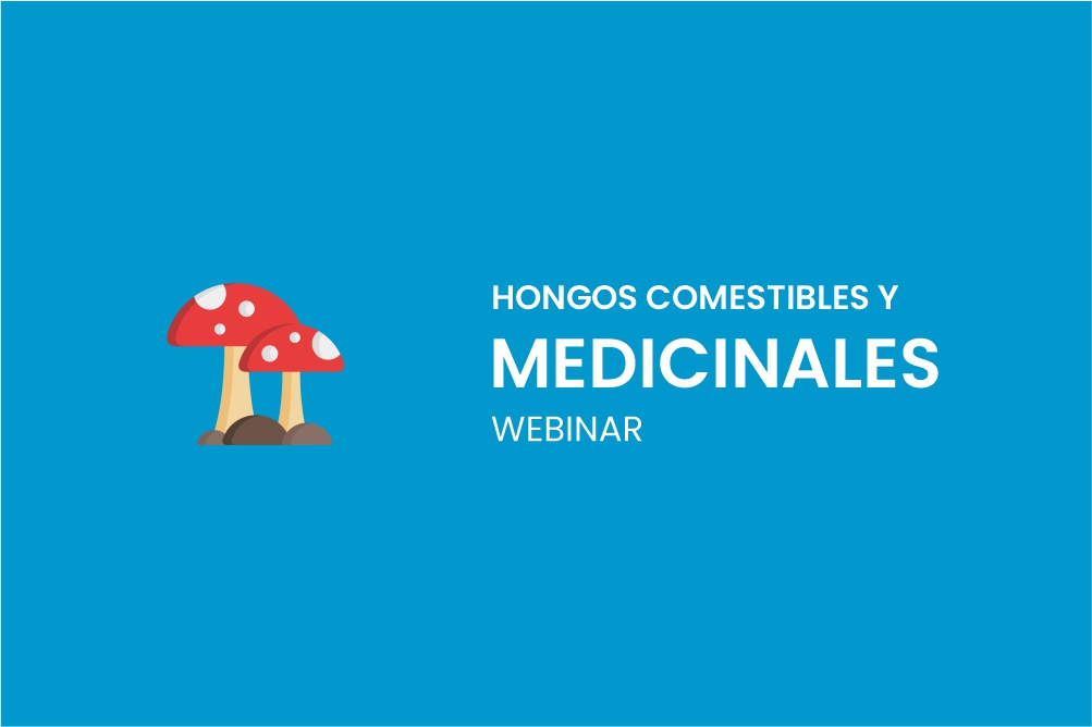 WEBINAR: